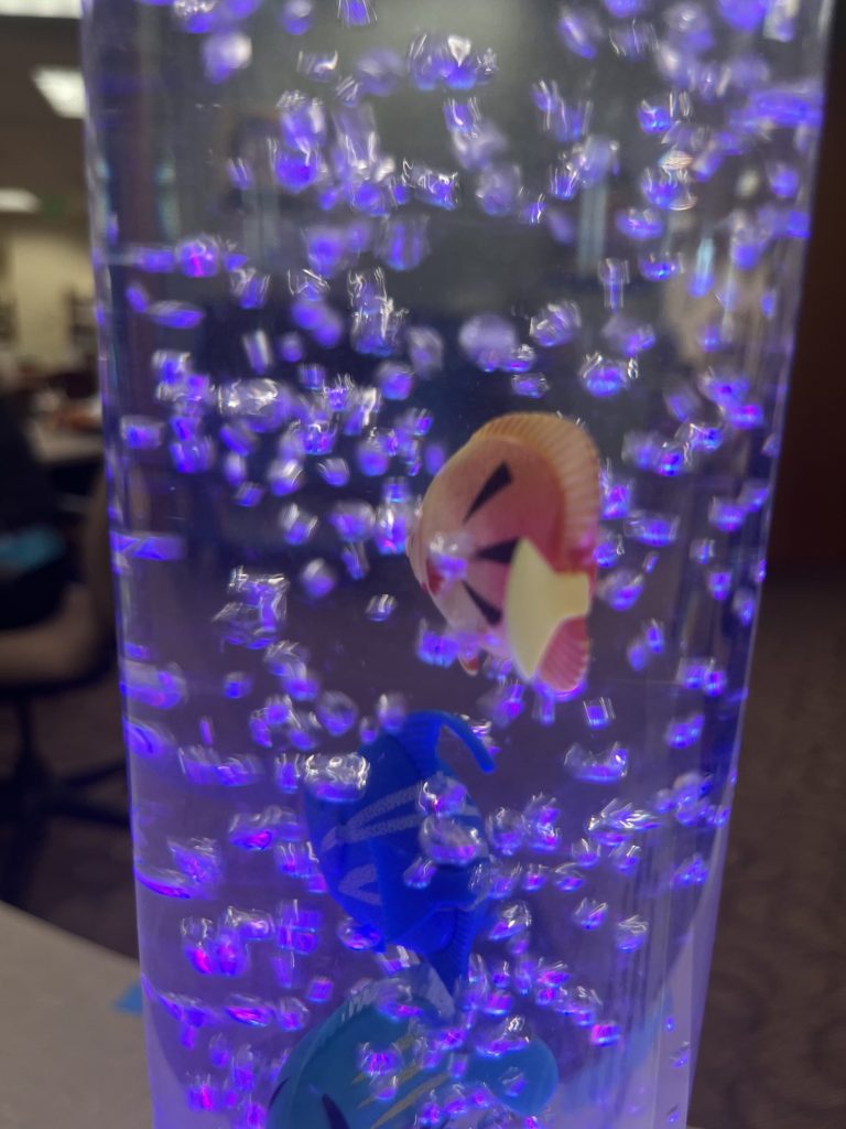 A Fish (the Orange One)