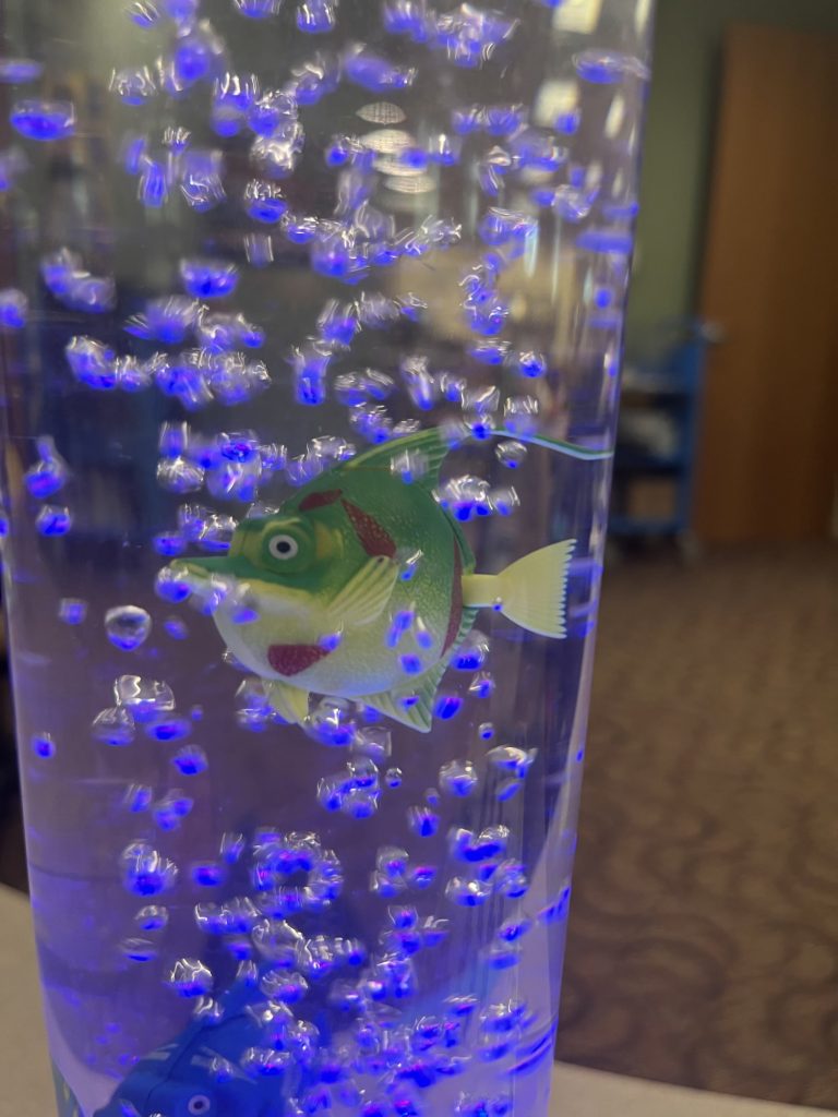 A Fish (the Other One)