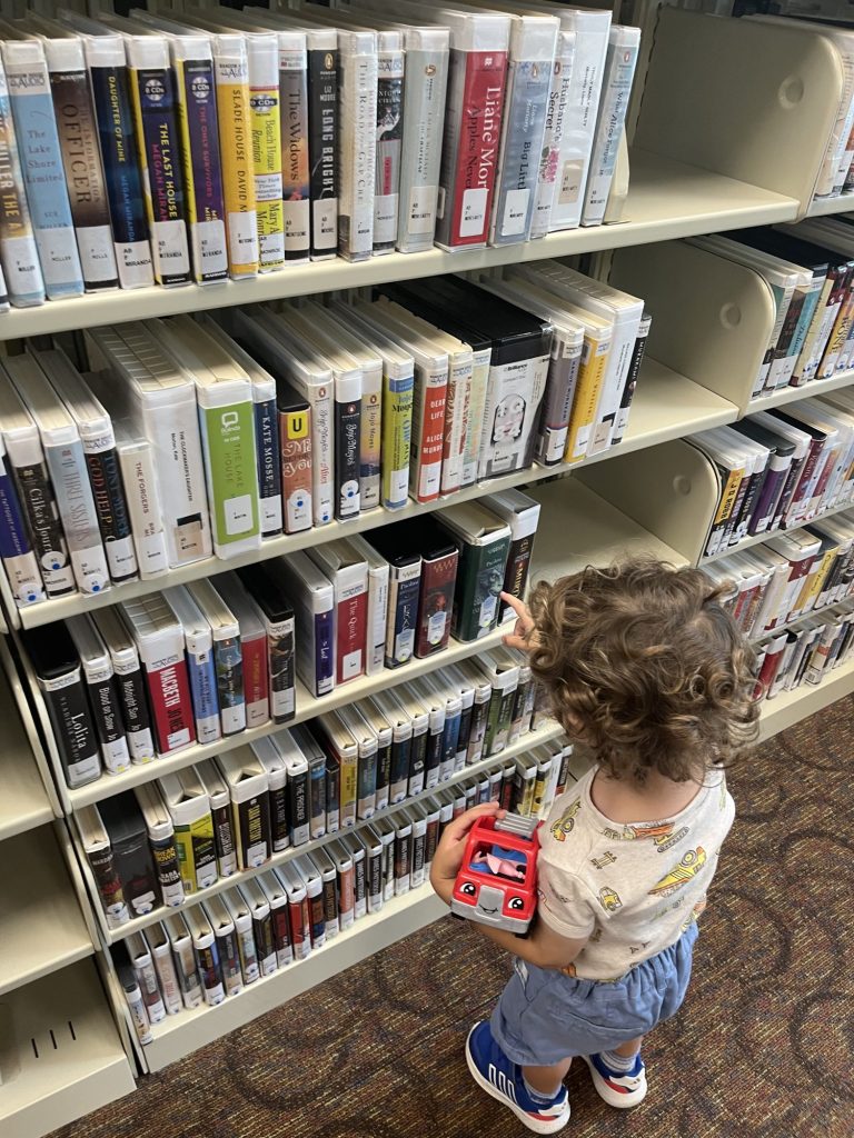 The Audiobook Shelf