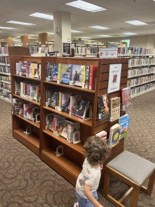 The New-Arrivals Shelf