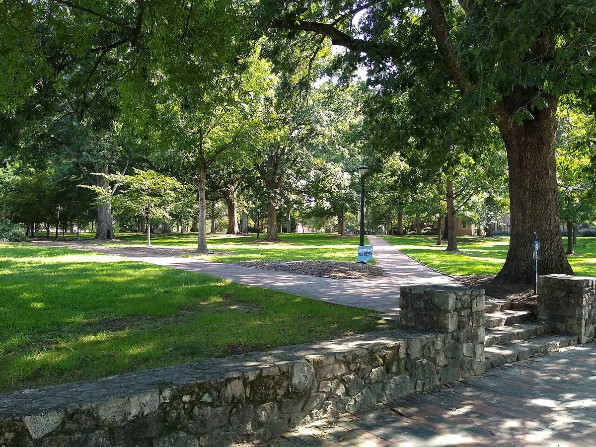 The stone wall along Franklin Street at McCorkle Place, 2020