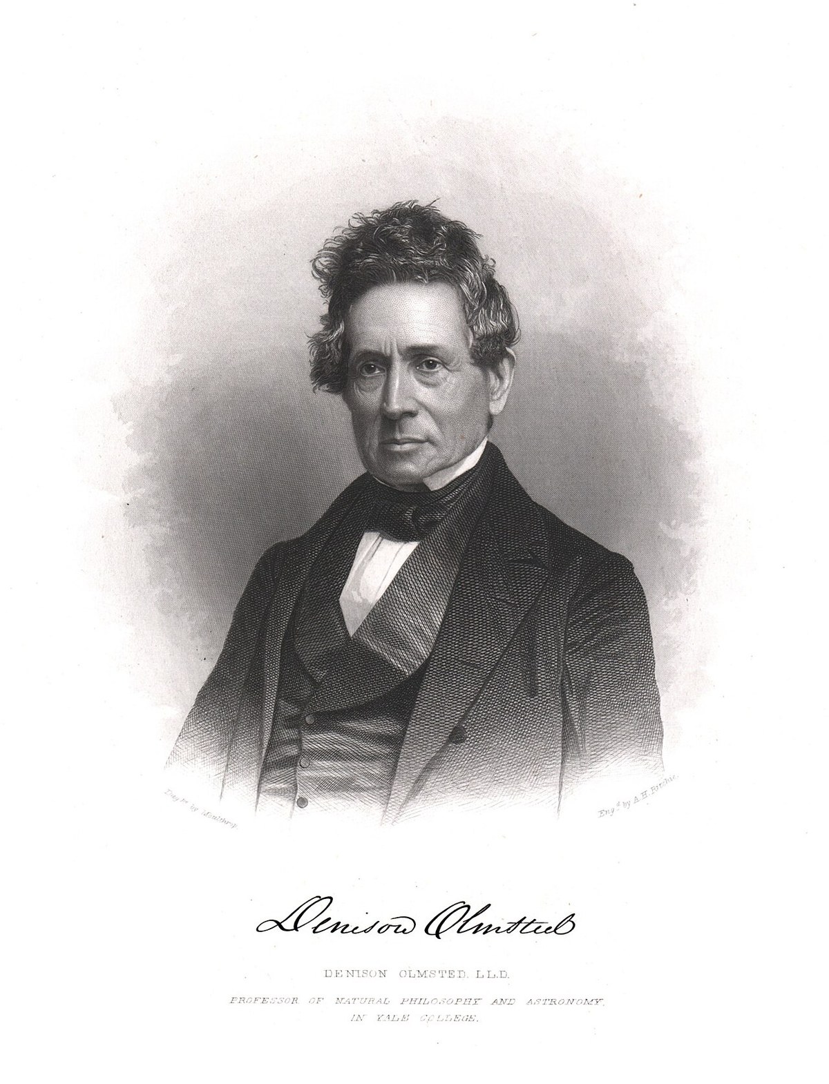 Denison Olmsted, 2006